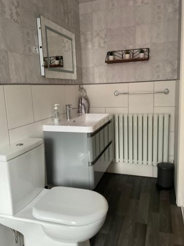 a white bathroom with a toilet and a sink at Meadow Cottage in Crieff