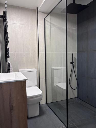 a bathroom with a toilet and a glass shower at 12 Banc Pendre in Kidwelly