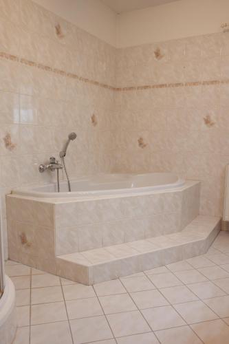 a bath tub with a shower in a bathroom at Apartmán se společným bazénem Zlonice in Zlonice
