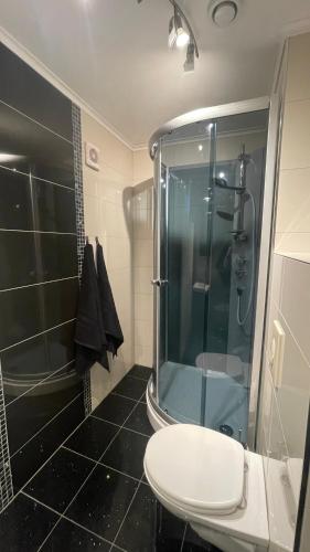 a bathroom with a glass shower and a toilet at Veløyveien 4b in Sandefjord