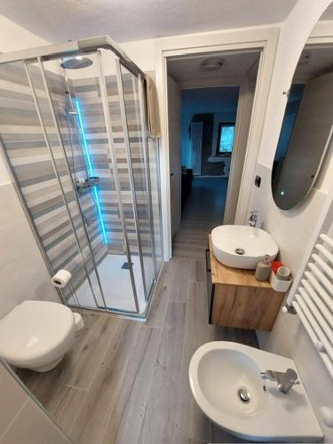 a bathroom with a shower and a toilet and a sink at Pres du Chateau in Châtillon