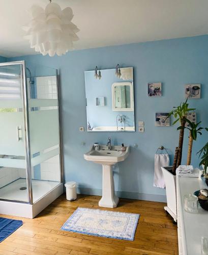 un bagno con lavandino e specchio di Chez Patou a Laval