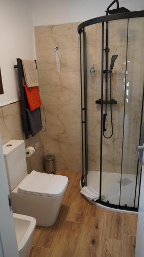 a bathroom with a toilet and a glass shower at Baita Valmalenco - Casa con sauna panoramica, 5 minuti da Chiesa Valmalenco in Torre di Santa Maria