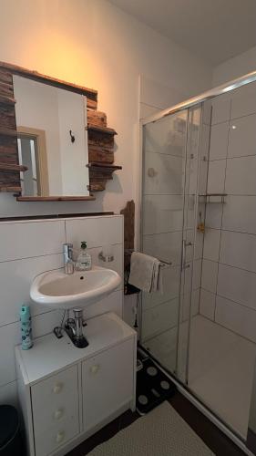 a bathroom with a sink and a shower at Garden Rooms near Munich in Althegnenberg