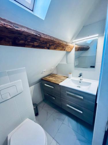 a bathroom with a sink and a toilet at Maison avec Jacuzzi - Europa-Park in Obenheim
