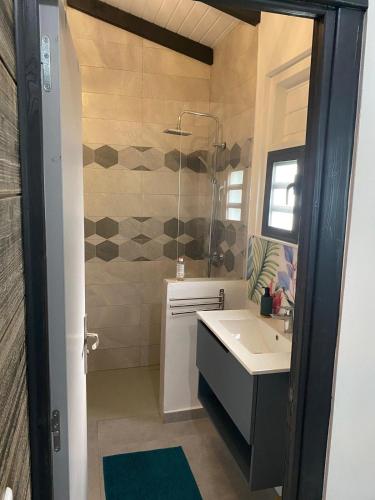 a bathroom with a sink and a shower at Gîte T2 cosy indépendant tout confort in Vieux-Fort