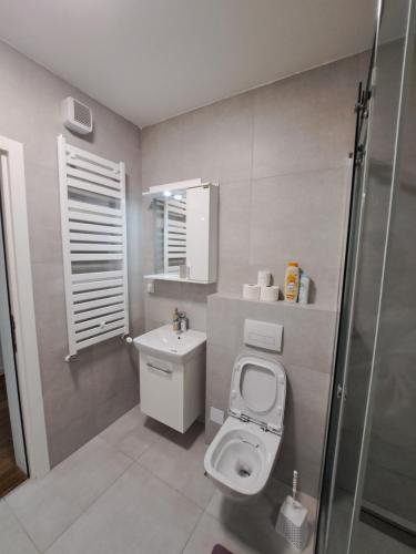 a small bathroom with a toilet and a sink at Tea Planet 2 in Niš