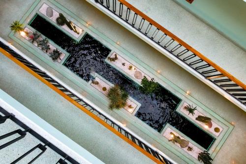 an overhead view of an organ with plants on it at Luuna de Jade in Oaxaca City