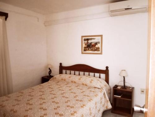 a bedroom with a bed and a picture on the wall at Natural Agave in Termas del Daymán