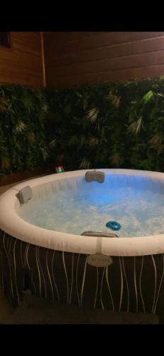 Billede fra billedgalleriet på Guyane Connect i Cochon Brûlé