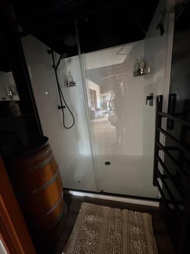 a glass door in a room with a rug at El Grouso in Blenheim