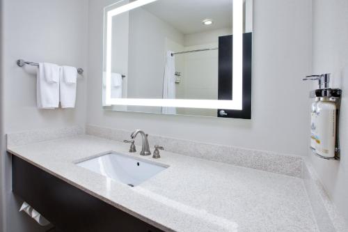 a bathroom with a sink and a mirror at Holiday Inn Express Hotel and Suites Duncan by IHG in Duncan