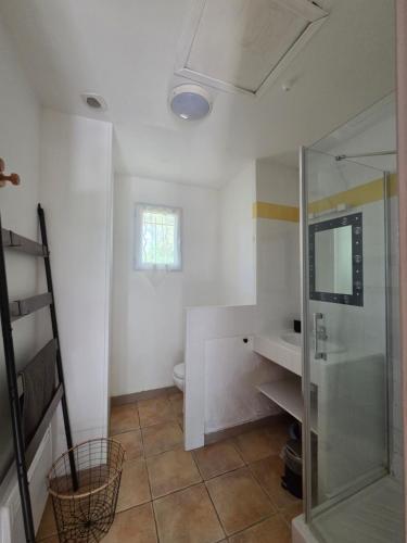 a bathroom with a shower and a sink and a toilet at Le Hameau des Cardenals in Salviac