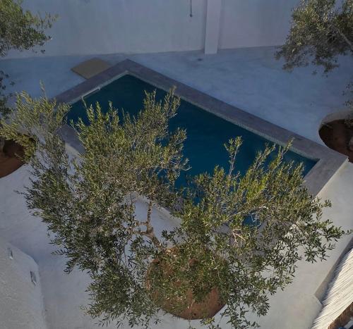 Piscina a Menzel LellaMina o a prop