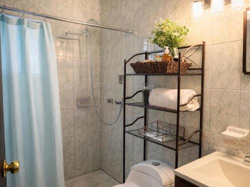 a bathroom with a shower and a toilet and a sink at Casa Pradera in Manuel F. Martínez