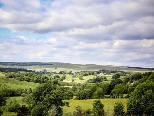 a green field with trees in the distance at Mars 4 - Uk50474 in Greenhaugh