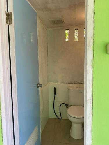 a bathroom with a toilet and a green door at The Green Pearl Paradise in Biluhu