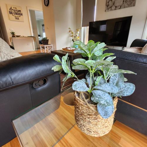 a potted plant sitting on the floor in a living room at Lbarza Charming Central 2BR Townhouse in Shepparton