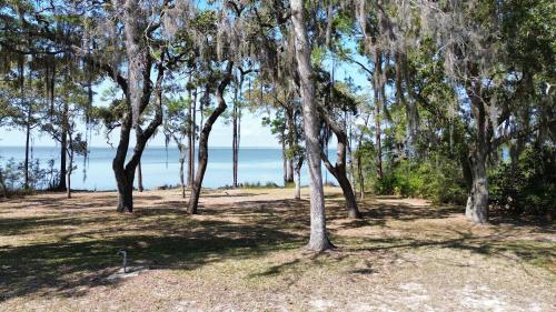 a group of trees with the ocean in the background at Bayfront- 2mins from Boat Launch in Eastpoint