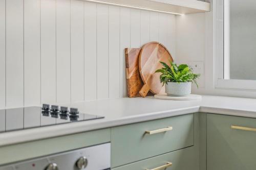 a kitchen with a plant in a pot on a counter at Thirty Eight in North Haven