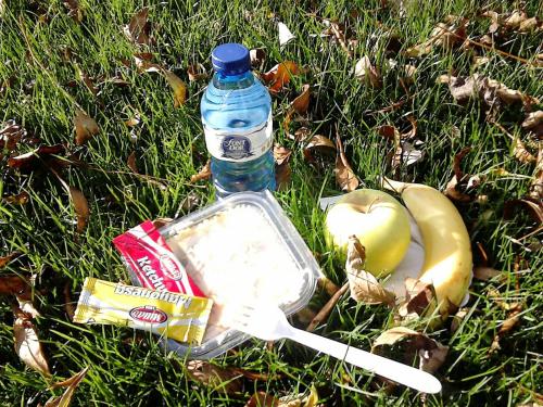a bottle of water and a container of food on the grass at Alberg Roques Blanques in Ribes de Freser