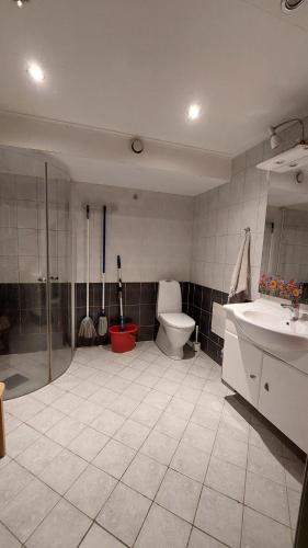 a bathroom with a toilet and a shower and a sink at Cosy room in Oslo