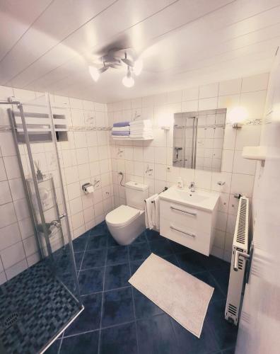 a bathroom with a toilet and a sink and a shower at Ferienwohnung Alexandra in Mettlach