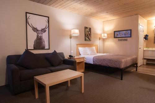 a hotel room with a bed and a couch at EasyStay Inn & Suites Fernie in Fernie