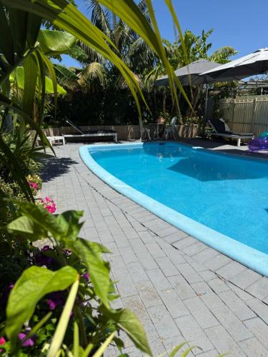 a swimming pool surrounded by trees and plants at Cosy, private guest house with pool and private parking in Rockingham