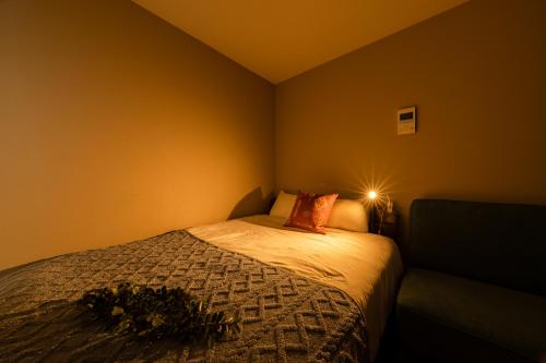 Shibuya Brown Hotel 102