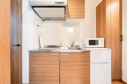 Shibuya Brown Hotel 102