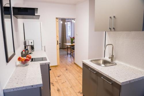 a kitchen with a sink and a counter top at Apartamenty Centrum Biskupiec in Biskupiec