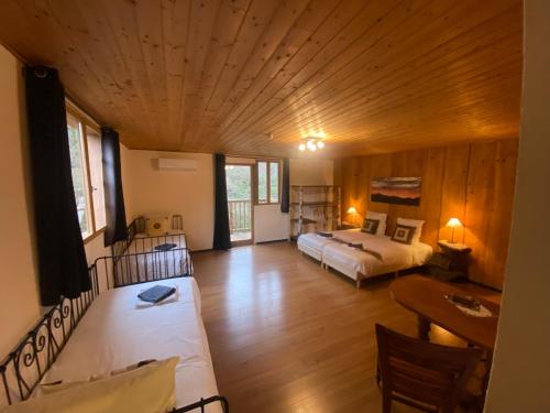 a large room with two beds and a couch at Pyrenées Emotions, Eco-responsables, Nature, Sports Aventures in Malvézie