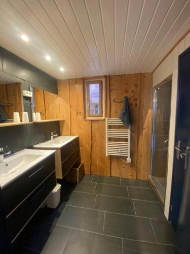 a bathroom with a sink and a tub and a shower at Pyrenées Emotions, Eco-responsables, Nature, Sports Aventures in Malvézie