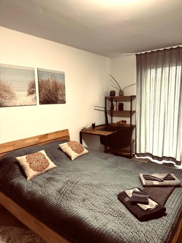 a bedroom with a bed and a desk in it at Comfort Rooms mit Whirlpoolzugang in Romanshorn