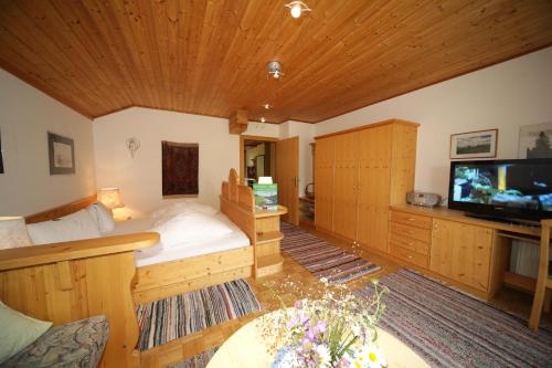 a large room with a bed and a television at Genusshof Mesner Aktiv in Liesing