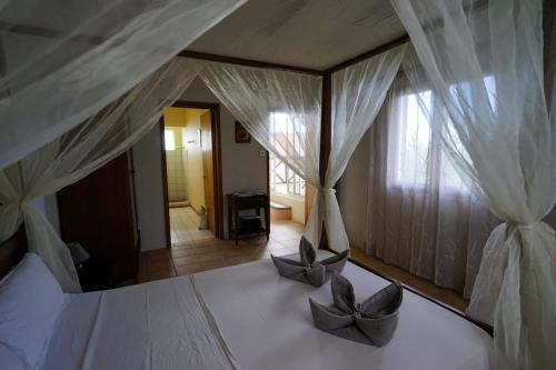 Ocean View Guesthouse with Pool, Surf, Sunset