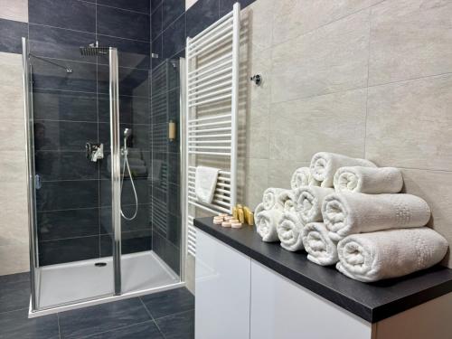 a bathroom with a shower and towels on a counter at ANPELA in Rýmařov