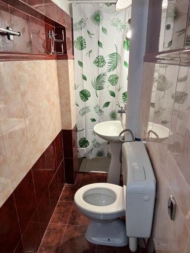 a bathroom with a toilet and a sink at Green Door Hostel in Tirana