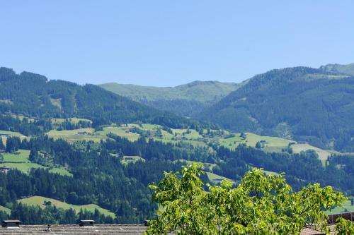 a view of a valley with trees and mountains at Apart Söllbacherhof in Fügen