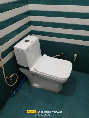 a toilet in a bathroom with green and white stripes at Radha Rani homestay in Vrindāvan