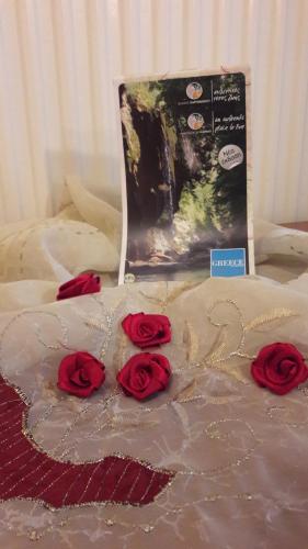 a group of red roses on a bed with a book at Artemis in Karpenision