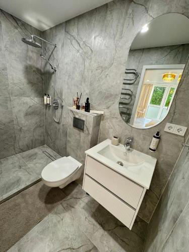 a bathroom with a sink and a toilet and a mirror at Baltic Avenue Duo in Klaipėda