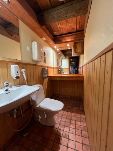 a bathroom with a white toilet and a sink at Riihilinna Ski Lodge in Muurame