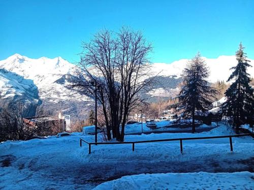 a snowy field with trees and snow covered mountains at Résidence Cachette - Superbe 2 pièces cabine 4 personnes à Arc 1600, proche des pistes et proche des commerces MAE-7831 in Arc 1600