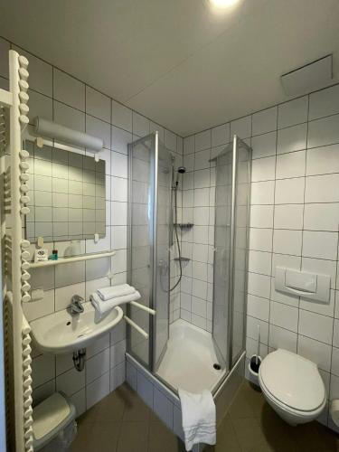 a bathroom with a shower and a sink and a toilet at Klosterhof Neustadt am Main in Neustadt am Main