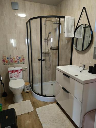 a bathroom with a shower and a toilet and a sink at Domek Raszówka in Kamienna Góra