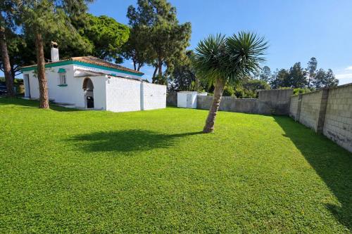 a palm tree in a yard next to a wall at Chalet Amanecer Chiclana in Novo Sancti Petri