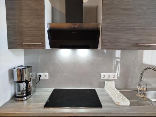 eine Küche mit Spüle und Herd Oberer Backofen in der Unterkunft Apartment-Design 1, Altendtadt in Altenstadt