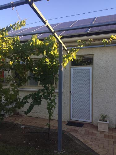 a solar roof on a house with a tree at North Adelaide Studio in North Adelaide